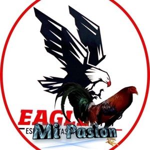 Meet your Posher, Raul